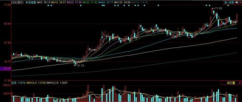 中國軟件板塊走強 中孚信息漲停背后的技術突破與市場機遇