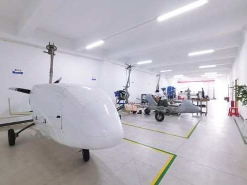 大咖云集北川 共探中國(guó)無(wú)人機(jī)企業(yè)技術(shù)發(fā)展之道